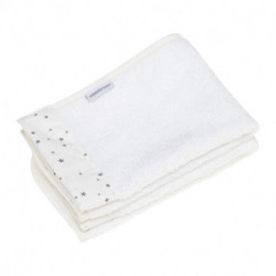 Conjunto de 2 Toalhas Astra Grey 25X35 cm