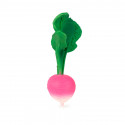 Ramona Radish Oli & Carol Mordedor