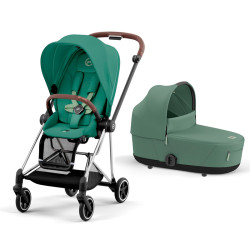leaf green marron