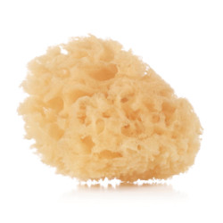 Esponja natural JANE