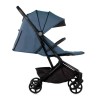Carrinho de Passeio JANE Wing u79 seal