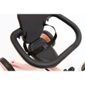 Triciclo Olmitos Giroscópio + rosa