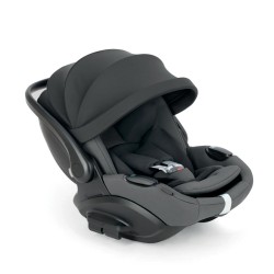 Inglesina Darwin Infant Recline Evo cinzento