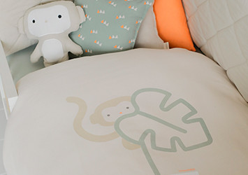 Colección Monstera Monkey