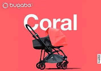 Abelha 5 Coral