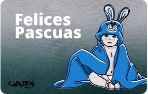 
			                        			Ocasión 1
