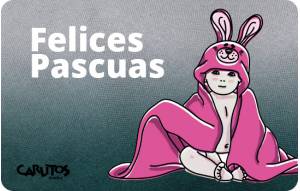 
			                        			Ocasión 2